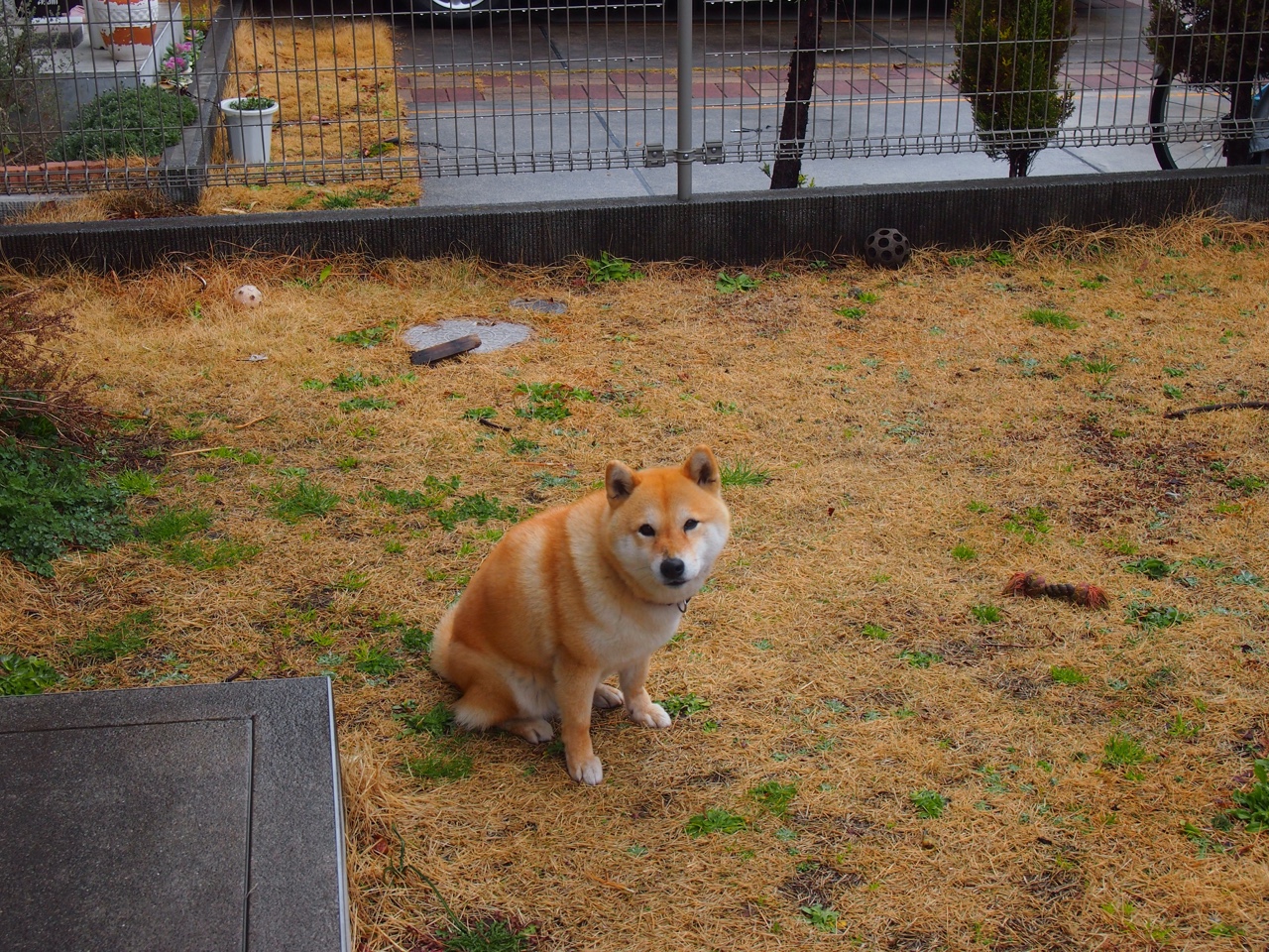 _尼克斯新秀秀出风采，引发全场喝彩_，尼克斯选秀眼光