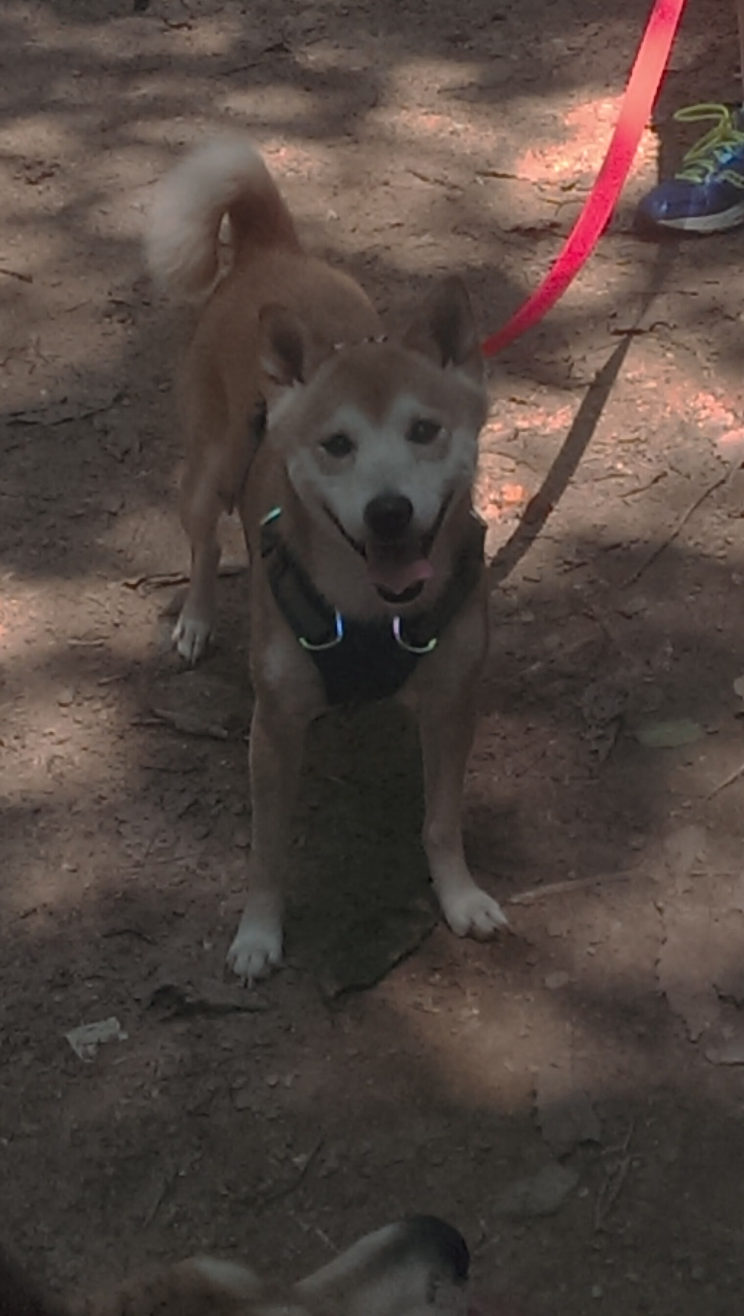 LeyuSports-【心理战】丁俊晖：面对犯规时的心态调整技巧，丁俊晖的心理素质