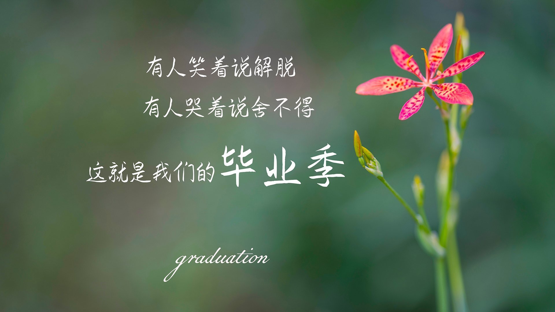 体育化校园新风尚,篮球运动在全国高校广泛普及,校园篮球文化发展现状