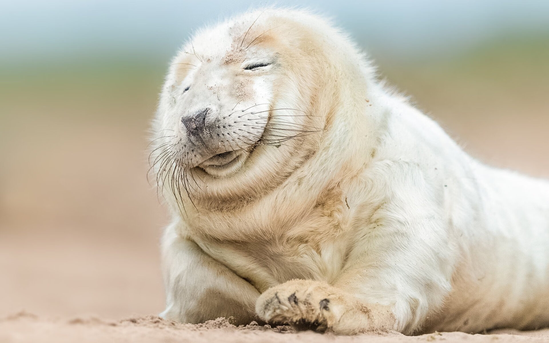 乐鱼体育登录-成都举办国际篮球邀请赛，吸引多国代表队参赛，成都的篮球比赛