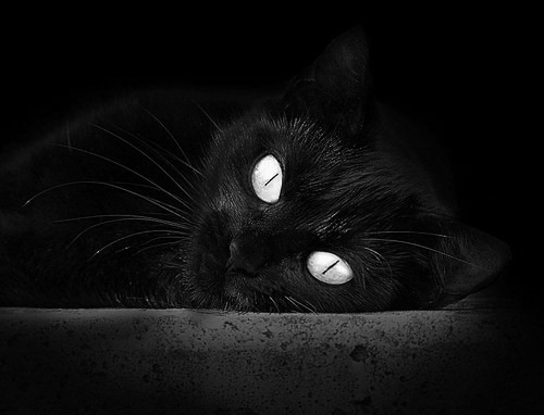 维尼修斯火线反击，皇马内线火力渐次爆发，皇马妮维雅