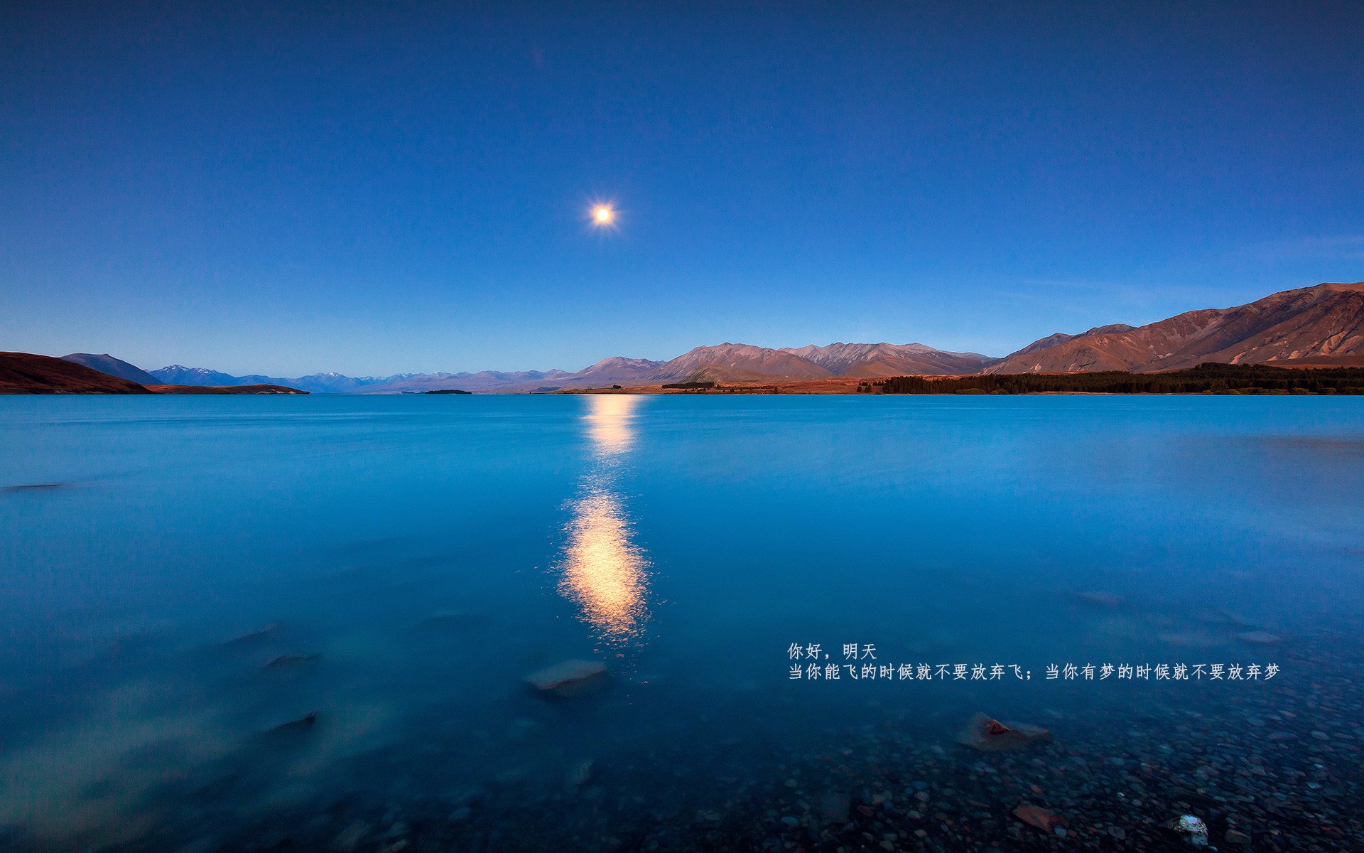 乐鱼体育App下载-布莱克本高位压迫成效显著，蓝白军团冲击升级，布莱克本ds