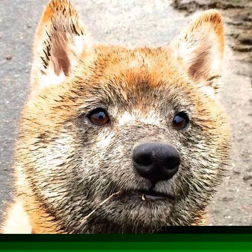 乐鱼体育App下载-欧国联赛新秀崭露头角，展现实力，欧国联赛2021