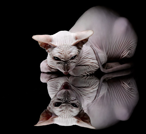 乐鱼体育APP官方下载-毕尔巴鄂竞技主场0-1不敌巴塞罗那，遗憾落败，毕尔巴鄂竞技对巴塞罗那