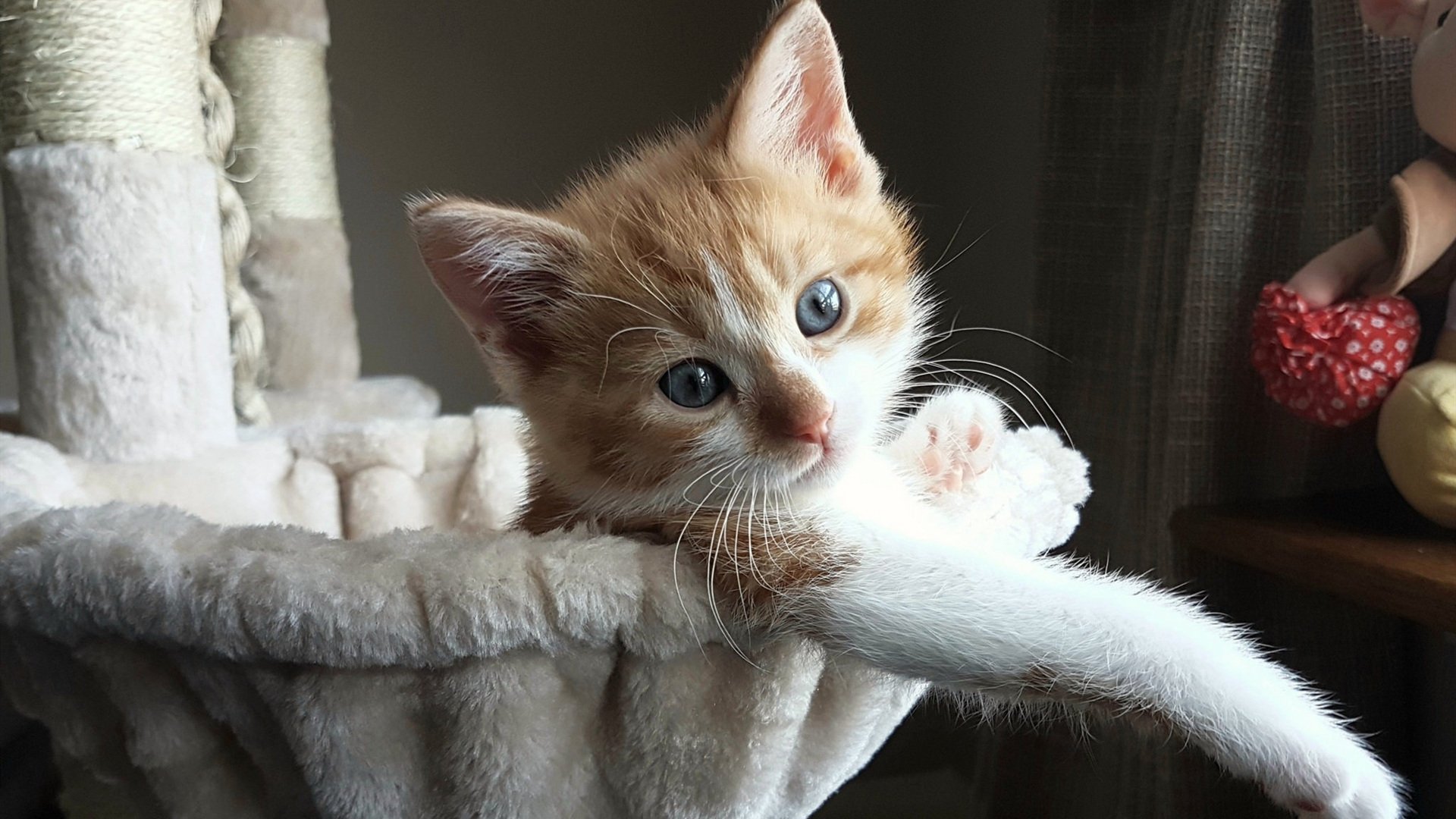 leyu乐鱼在线登录入口-球员比赛态度是否成为拖累国足根本原因，没了球星谁还看比赛_ 足协政策还需多加商量才行