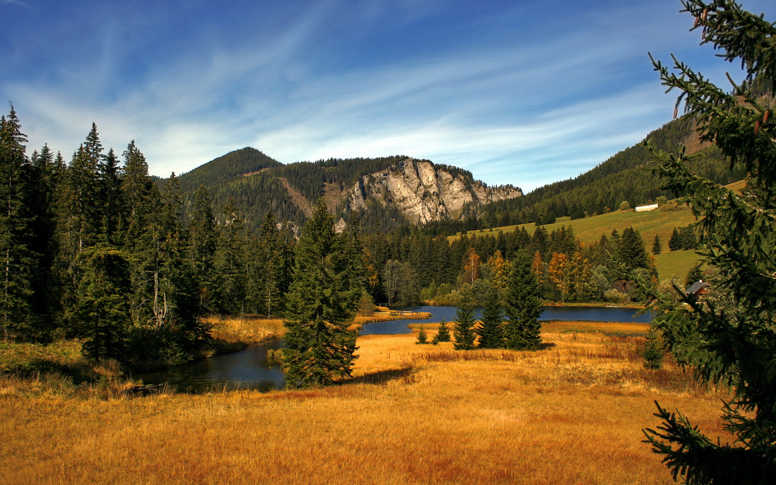 球员梅赫迪·本特兰确定参加下场比赛,梅赫梅蒂