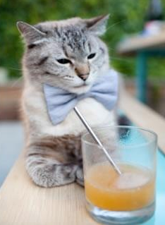 leyu乐鱼官网登录入口-篮网队遭逢失败，猛龙队在主场表现出色，猛龙篮网季后赛