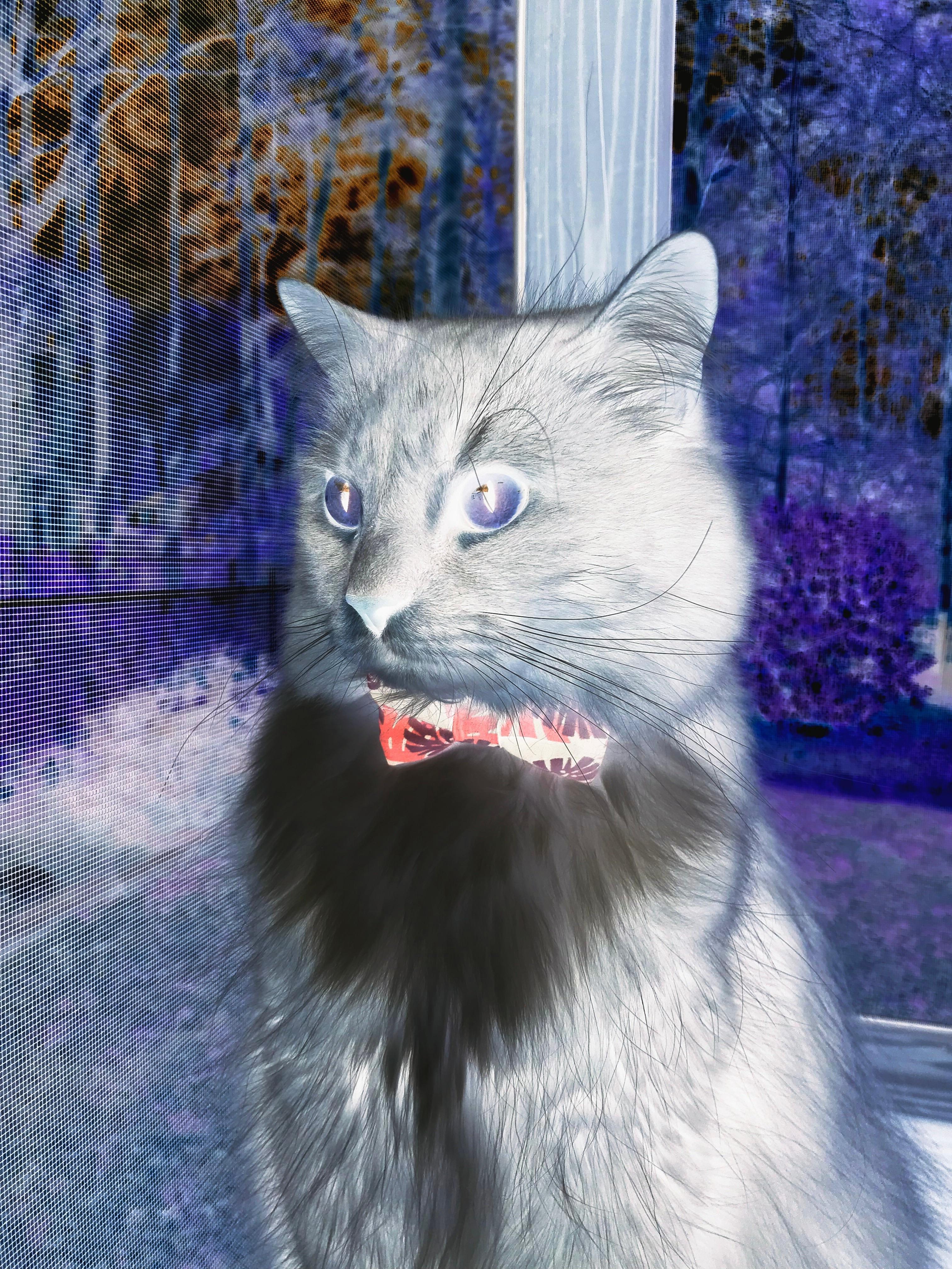 乐鱼娱乐app-绝地反击！哥伦比亚女足挑战乌拉圭，胜者晋级四强，哥伦比亚男足