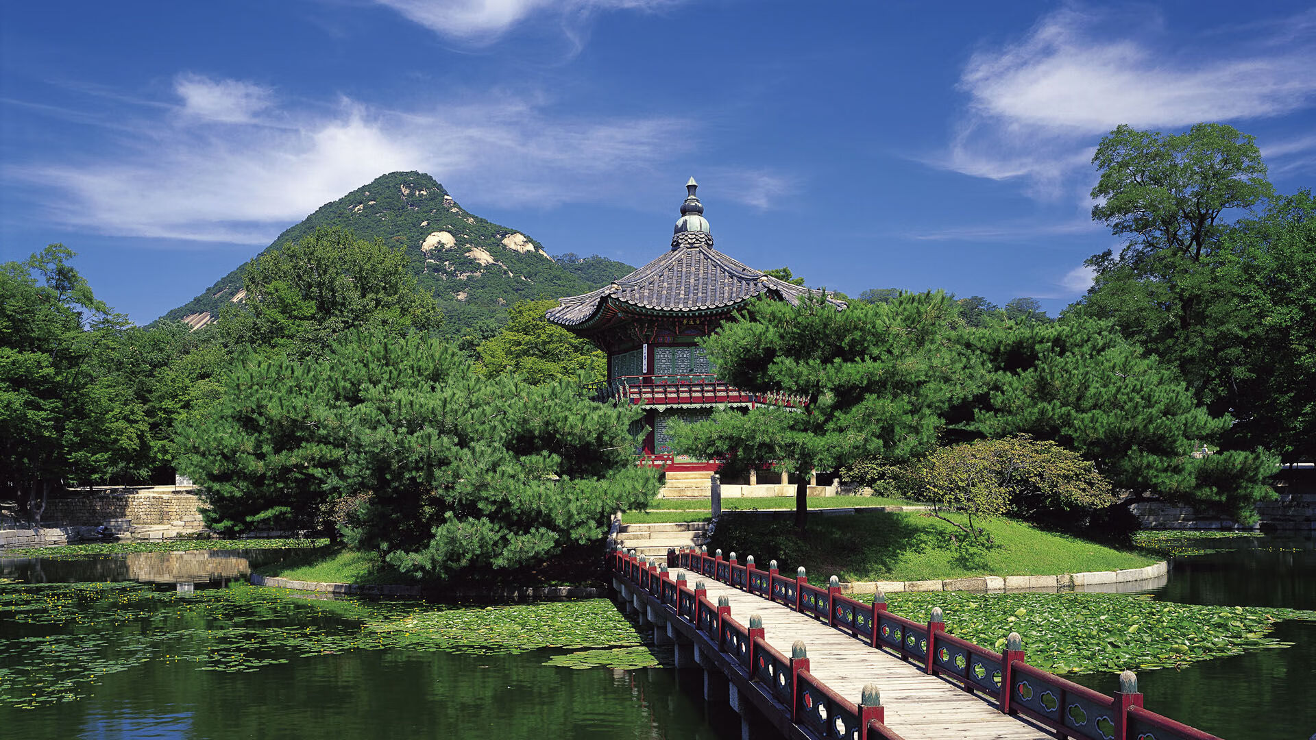 青岛男篮球队训练强度不断加大,山东青岛男篮球队队员名单