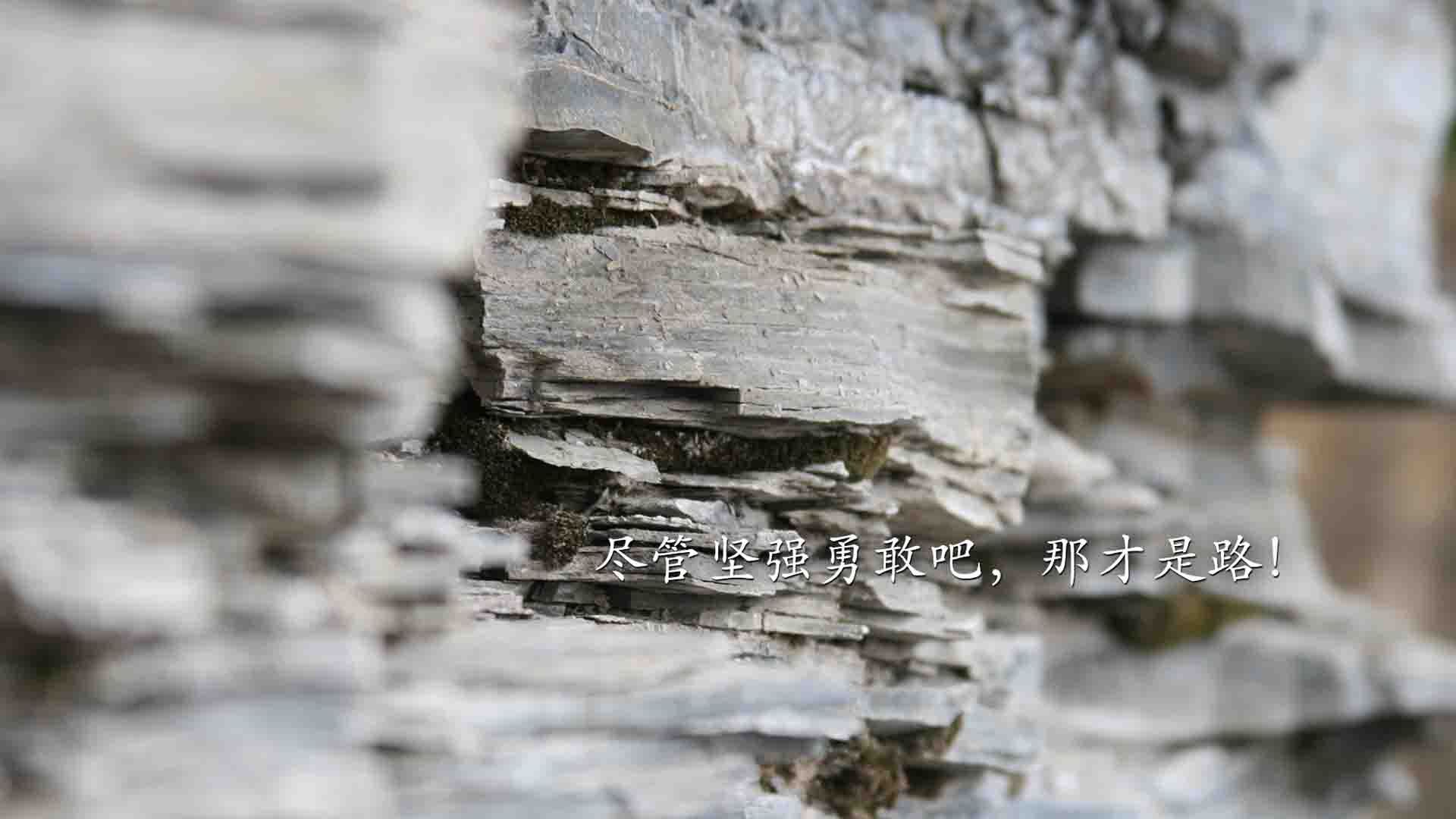 乐鱼电竞在线平台-五大联赛是否正经历攻强守弱新周期轮回，五大联赛的强队