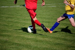 乐鱼体育App下载-国家体育场馆运营管理论坛探讨智能化方向，国家体育总局体育场馆运营管理办法