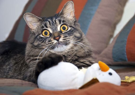 球队是否通过提高短传成功率掩盖锋线终结乏力问题,如何提高短传球力量