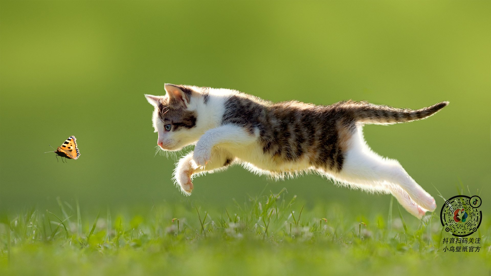 球队数据背后能否准确反映实际技战术能力,根据数据分析球队水平