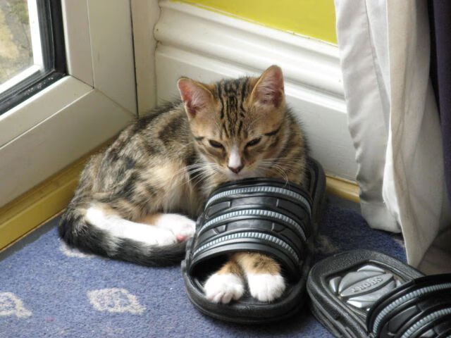 欧洲杯惊心动魄：最后一刻的绝佳决策，欧洲杯迎来结局