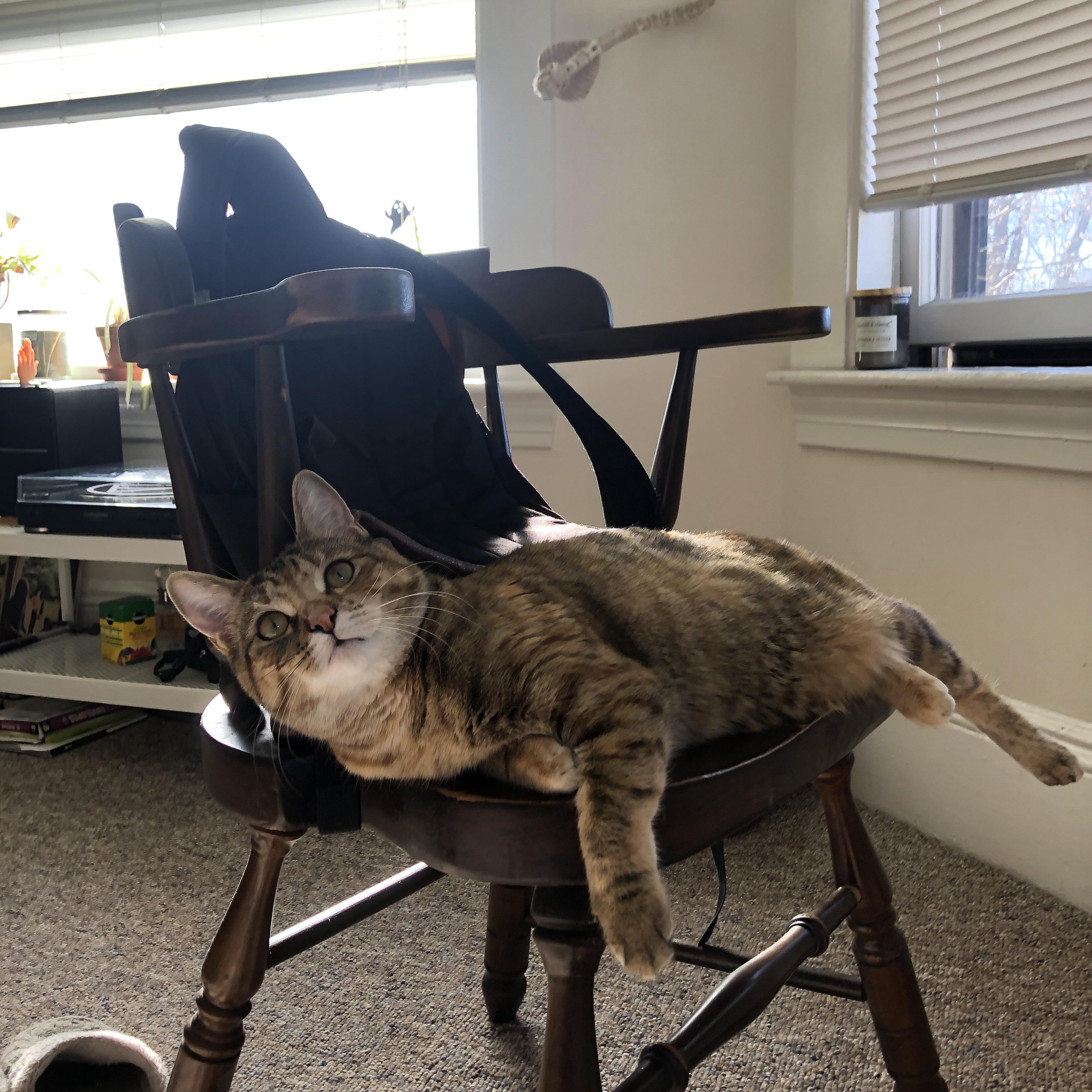 LEYU SPORTS中国官方网站-欧洲杯变阵翻盘：策略多变造奇迹！，欧洲杯变盘分析